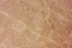 Nazca-9268