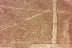 Nazca-9274