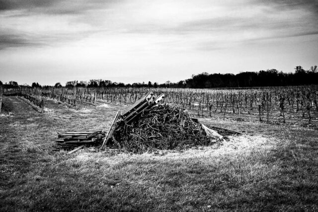 #escarpment #vineyards #vine #blackandwhitephotography #landscape
