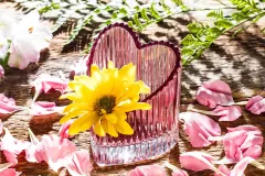 27-veda-03-GLAM-20.jpg.webp