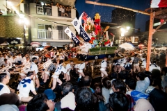 Festival Day-14