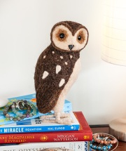 27-barnowl-sm-GLAM-1