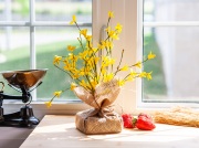 27-forsythia-086-GLAM-2
