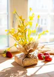 27-forsythia-086-GLAM-3