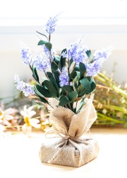 27-lavande-GLAM-5