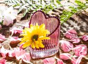 27-veda-03-GLAM-20