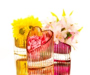 27-veda-03-GLAM-5