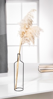 92-linear-GLAM