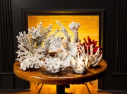 seashore-GLAM-3