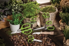 27_potager_0511
