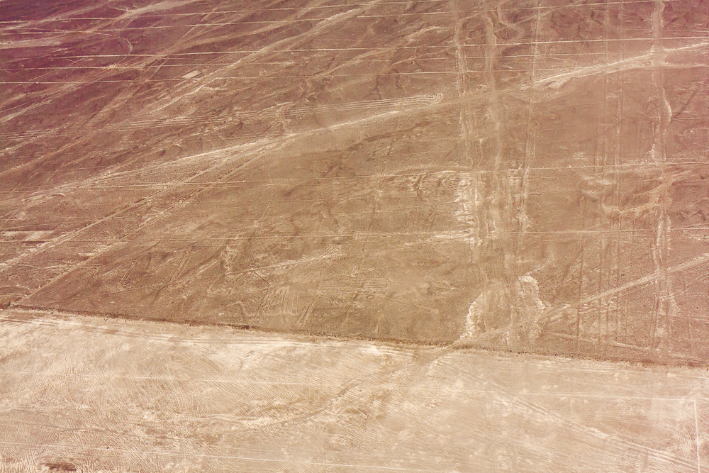 Nazca-9264