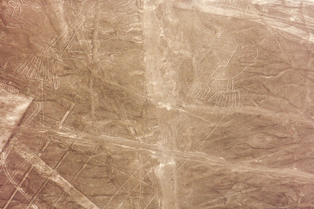 Nazca-9279