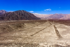 Nazca-9291